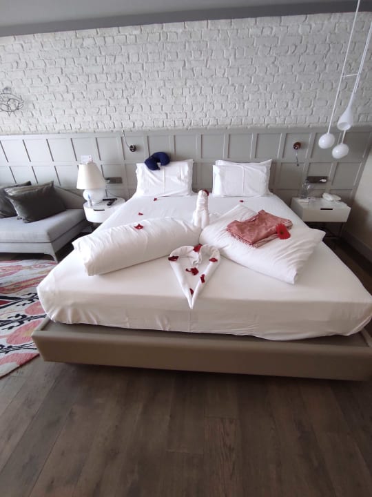 Zimmer Acanthus Cennet Barut Collection