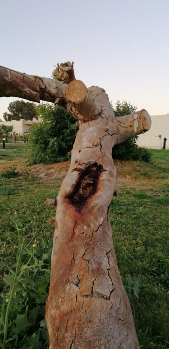 Gartenanlage Coral Beach Hurghada