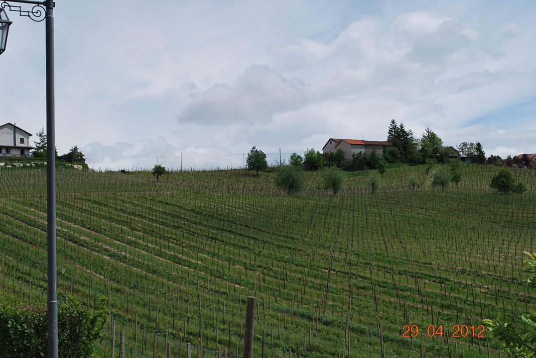 Das Weinanbaugebiet  Hotel Tenuta La Romana