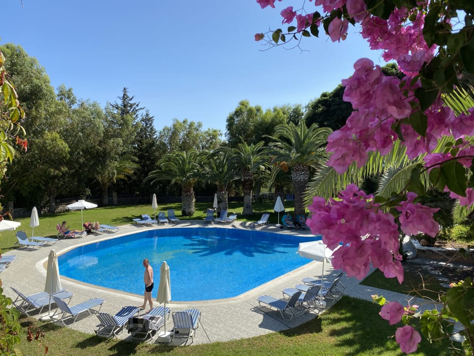 Pool Ekaterini Hotel
