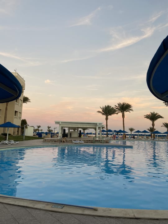 Pool Beach Albatros Resort