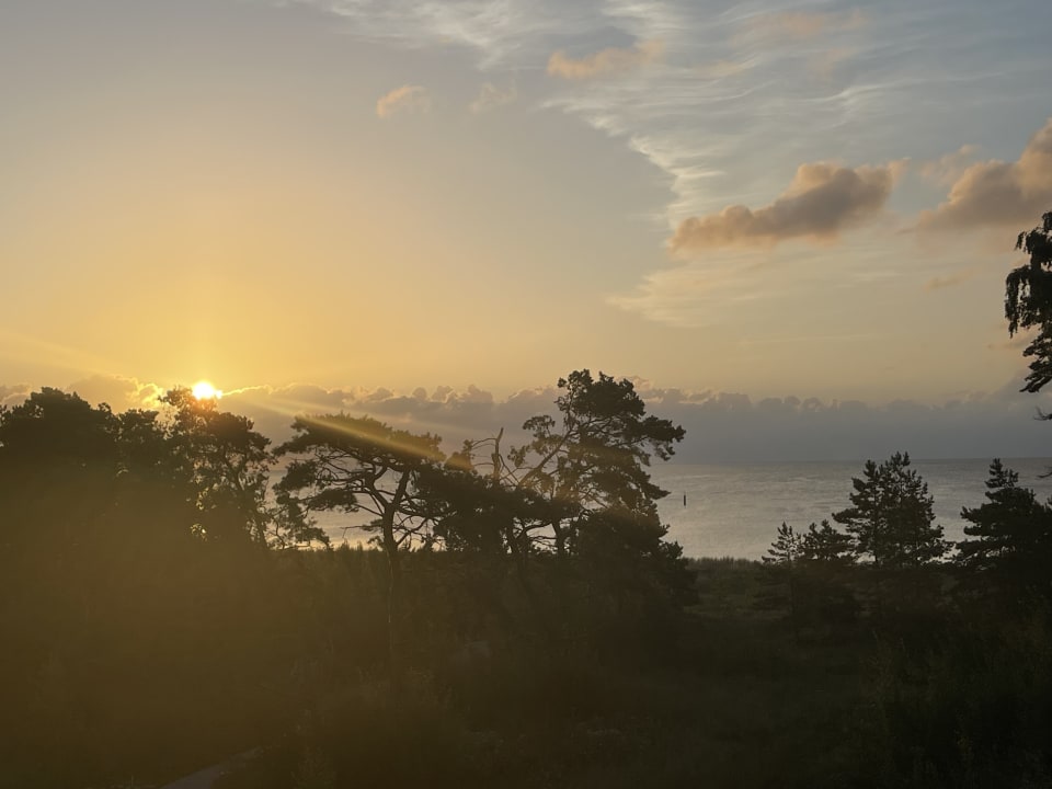 Ausblick Santé Royale Rügen Resort