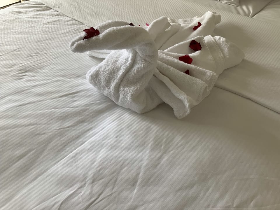 Zimmer Iberostar Selection Creta Marine