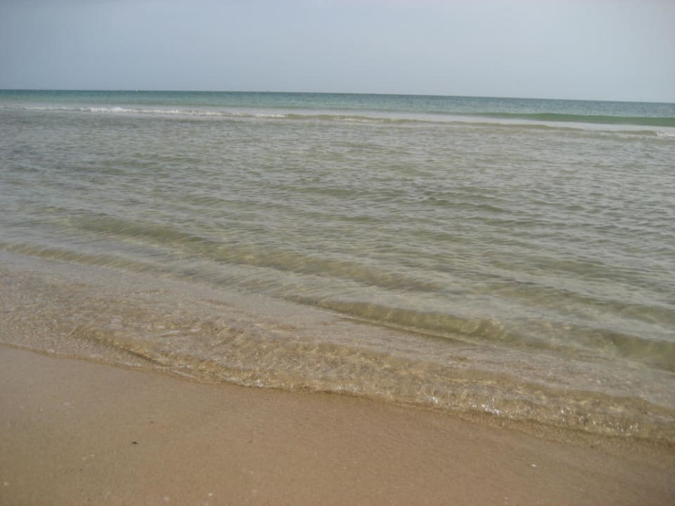 Klares Wasser - sauberer Strand Vincci Safira Palms