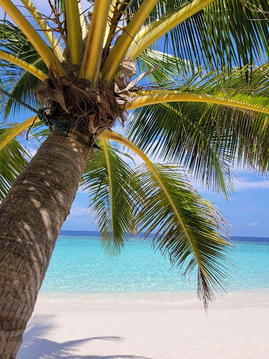 Strand Adaaran Select Meedhupparu Island Resort - Premium All Inclusive