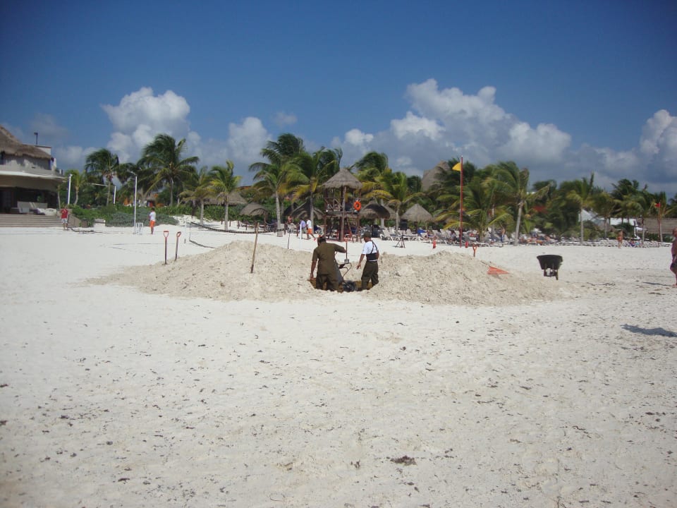 Jeden Tag das gleiche Catalonia Playa Maroma