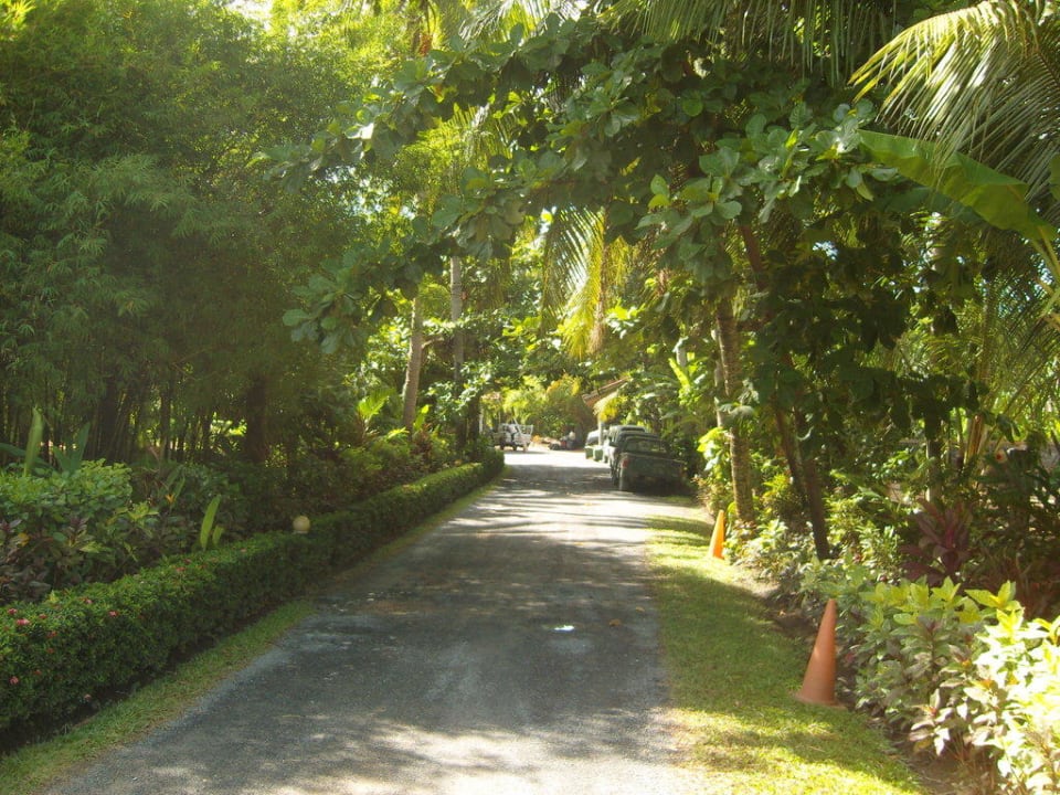 Einfahrt zur Lobby Hotel Maenam Resort