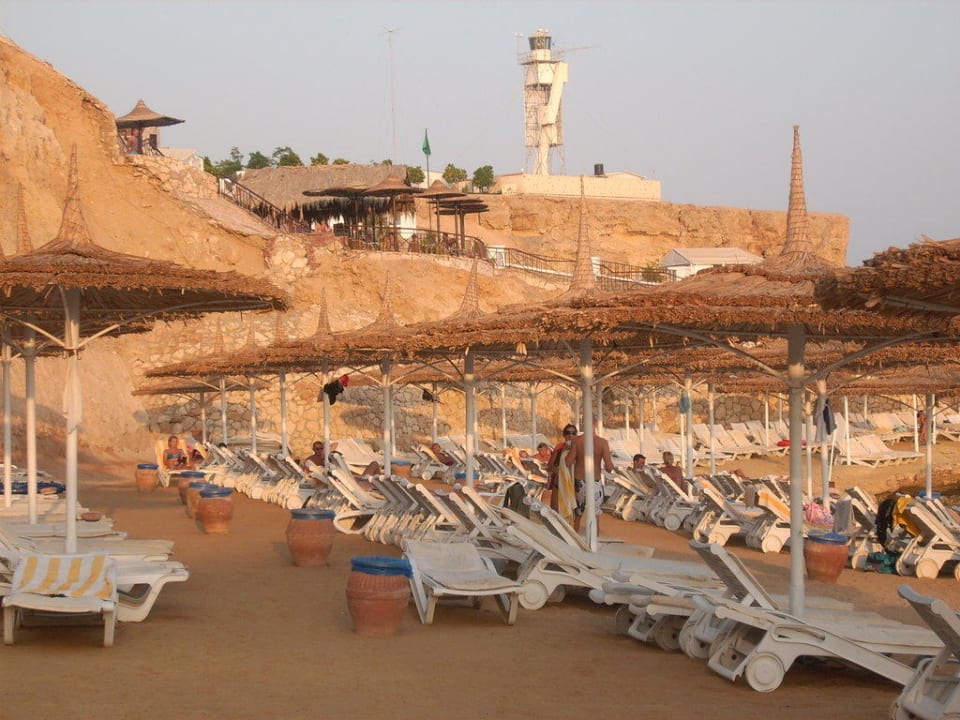 Strand und Plateau Hotel Reef Oasis Palms