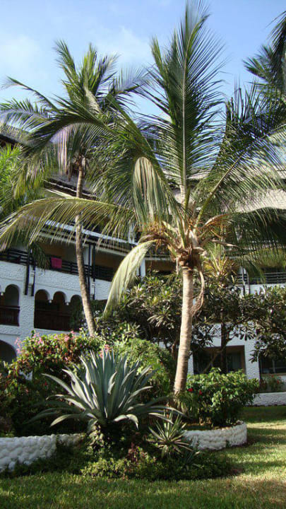 Gartengesaltung Hotel Southern Palms Beach Resort