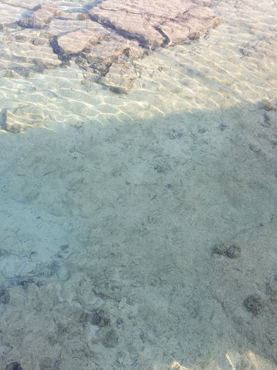 Strand Pickalbatros Sea World Resort - Marsa Alam
