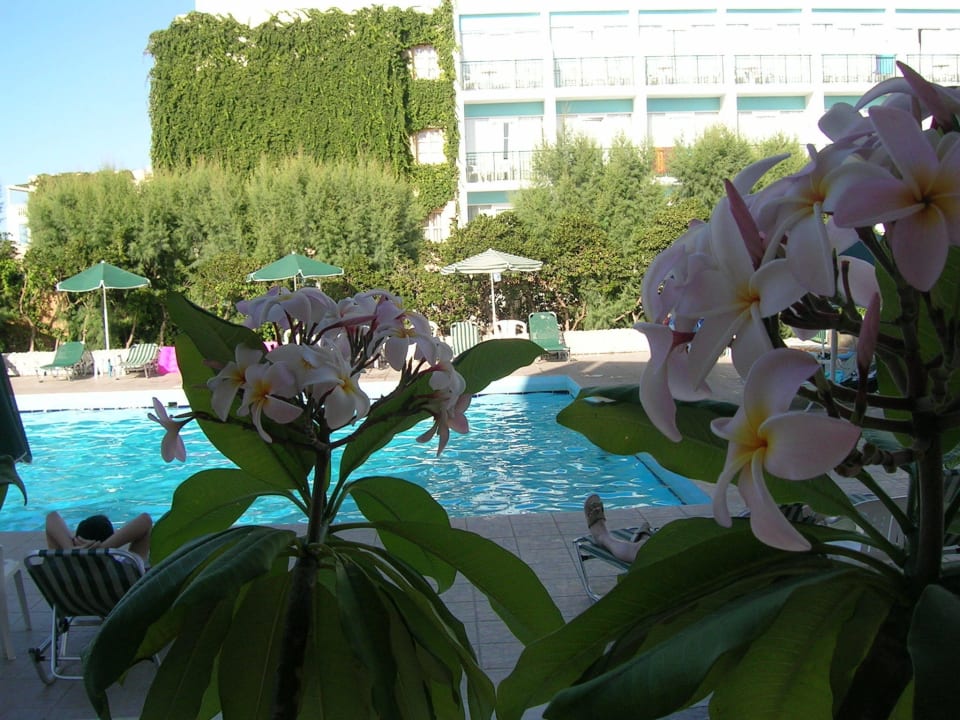 Pool Hotel Kathrin Beach