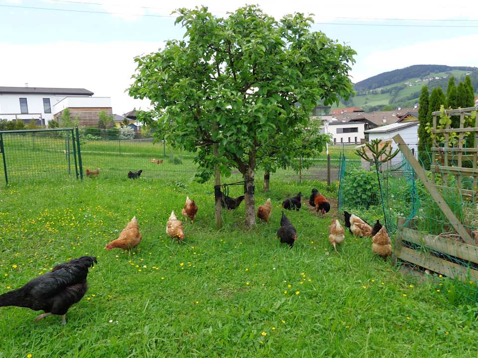 Gartenanlage Pension Herned