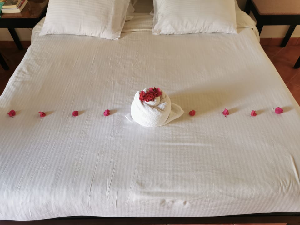 Zimmer Three Corners Sea Beach Resort