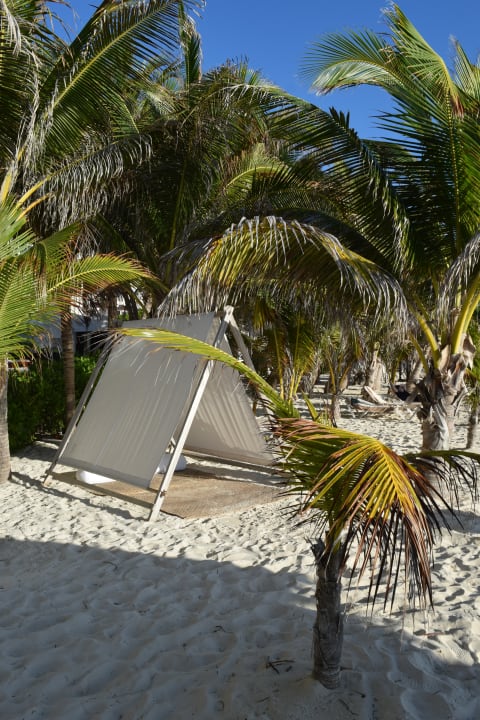 Strand Hotel Flamingo Cancun Resort