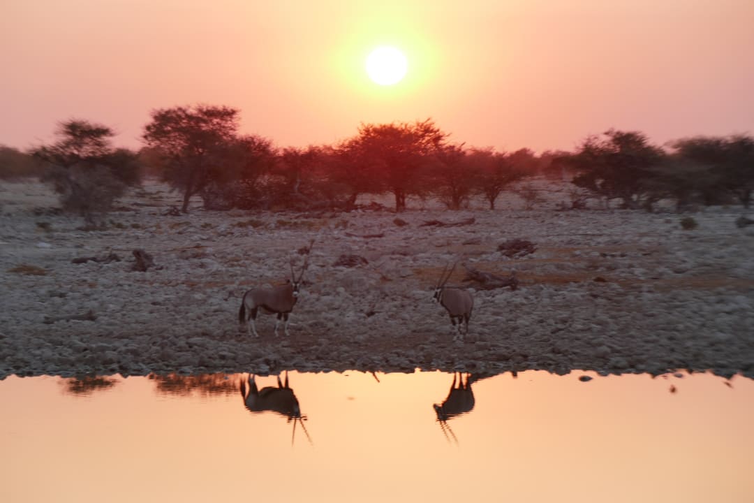 Ausblick Okaukuejo Camp