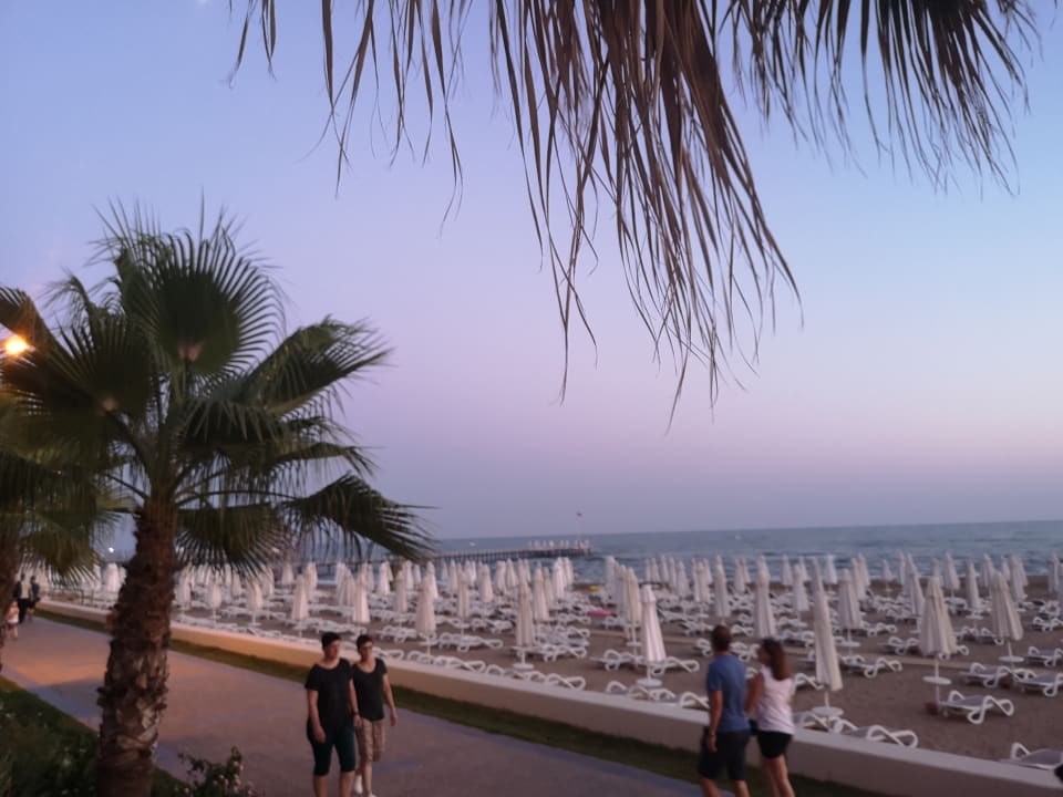 Strand PALOMA Perissia