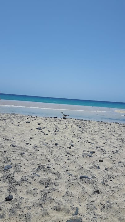 Der Strand bei Flut Club Jandia Princess