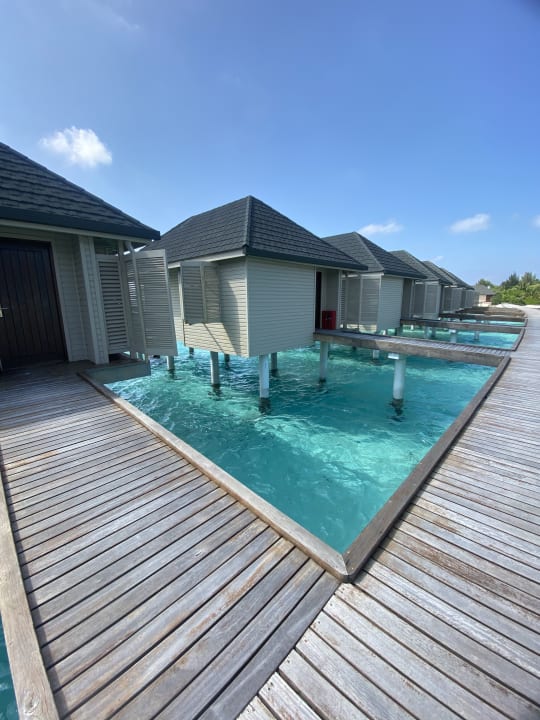 Zimmer Summer Island Maldives