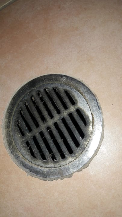 Zimmer Hotel Theartemis Palace