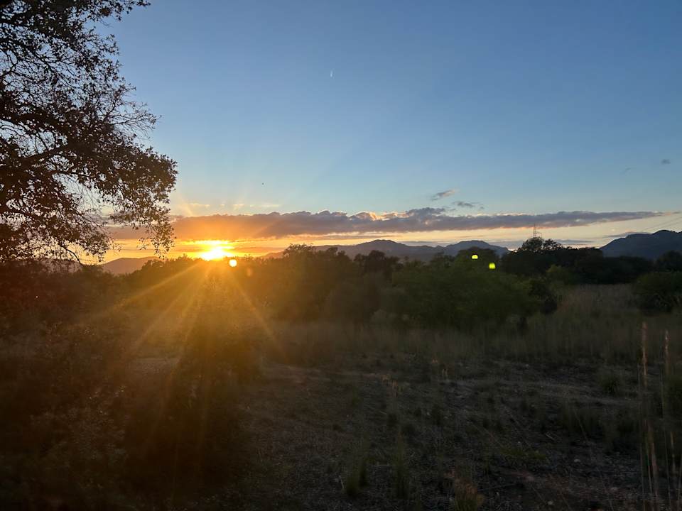 Ausblick Hotel Metropolitan Playa