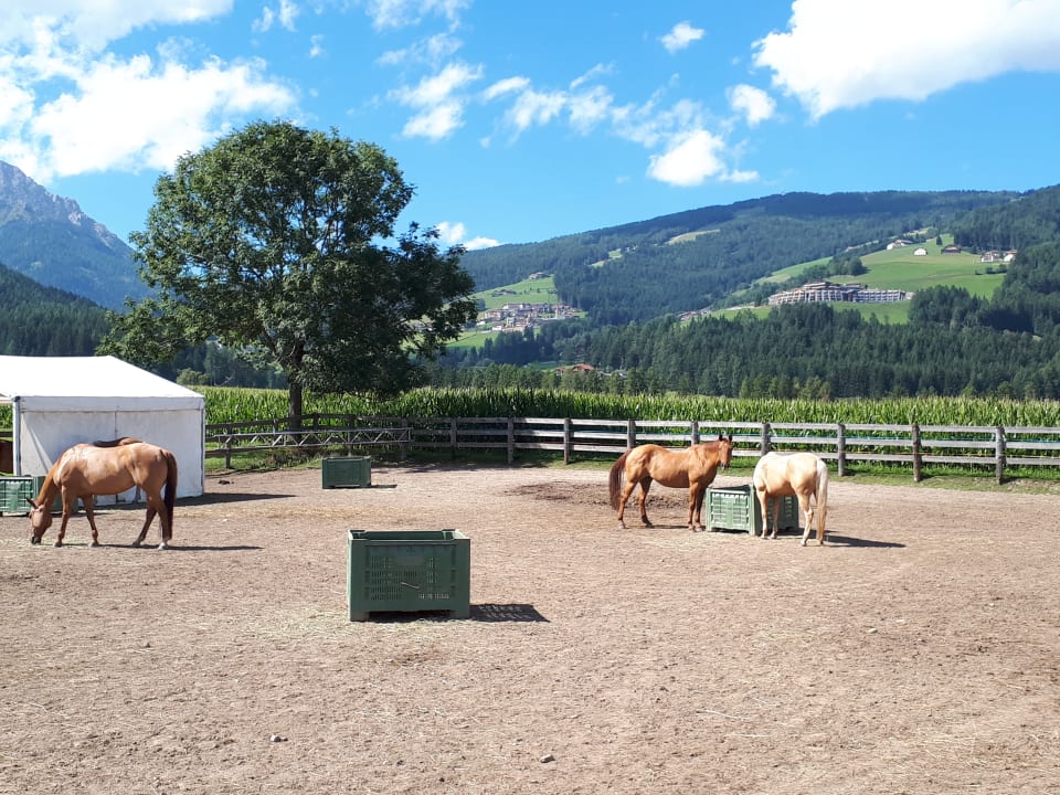 Sport & Freizeit Hotel Tharerwirt