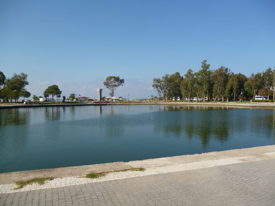 See Marvida Family Eco