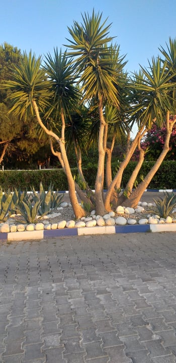 Gartenanlage Süral Saray Hotel