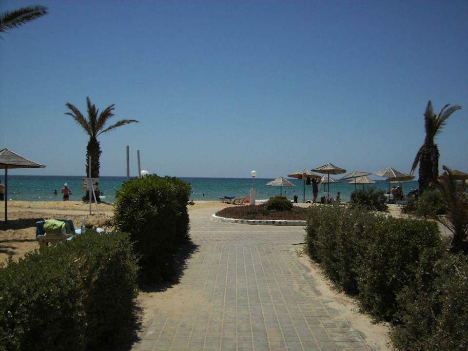 Weg zum Strand! Royal Lido Resort & Spa