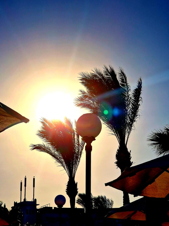 Ausblick Steigenberger ALDAU Beach Hotel