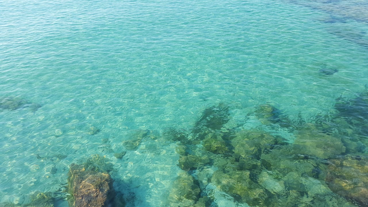 Strand Son Moll Sentits Hotel & Spa