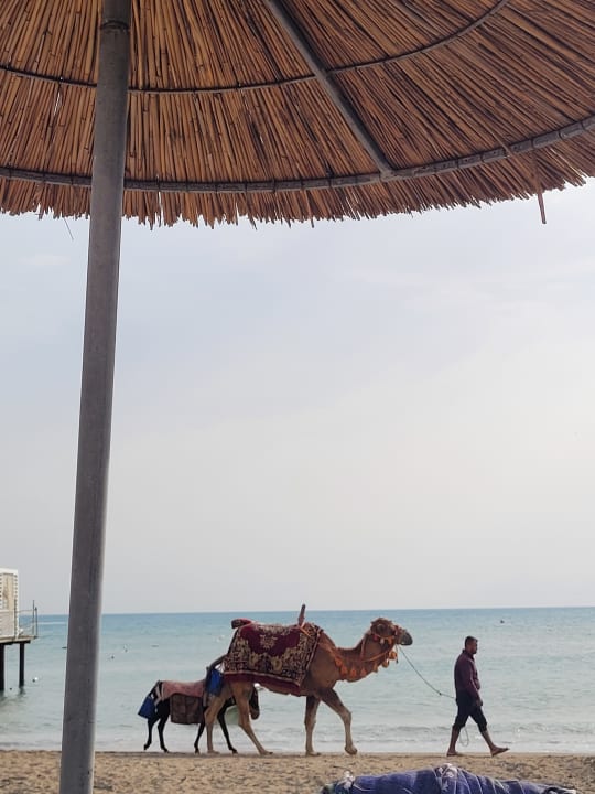 Strand Belek Beach Resort Hotel