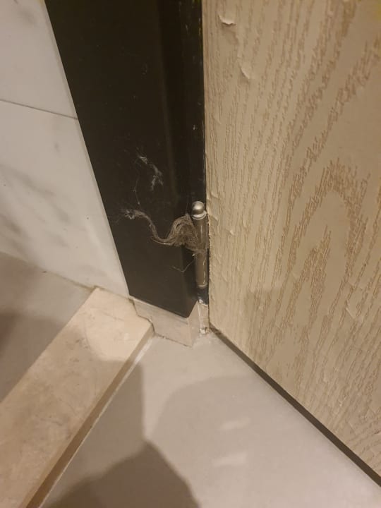 Zimmer Hotel Orfeus Park