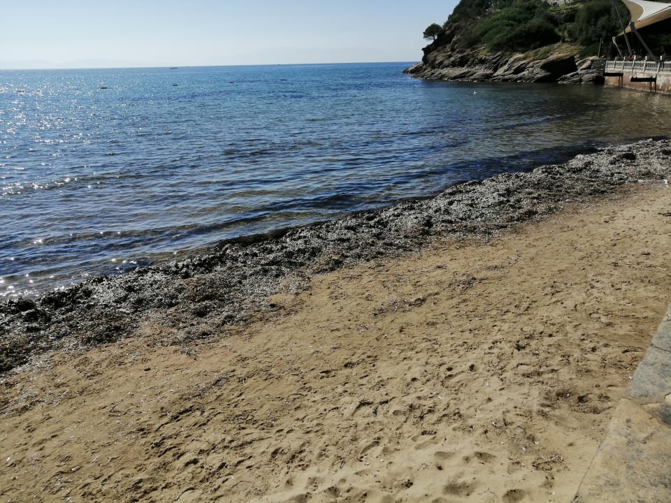 Strand Aria Claros Beach & Spa Resort