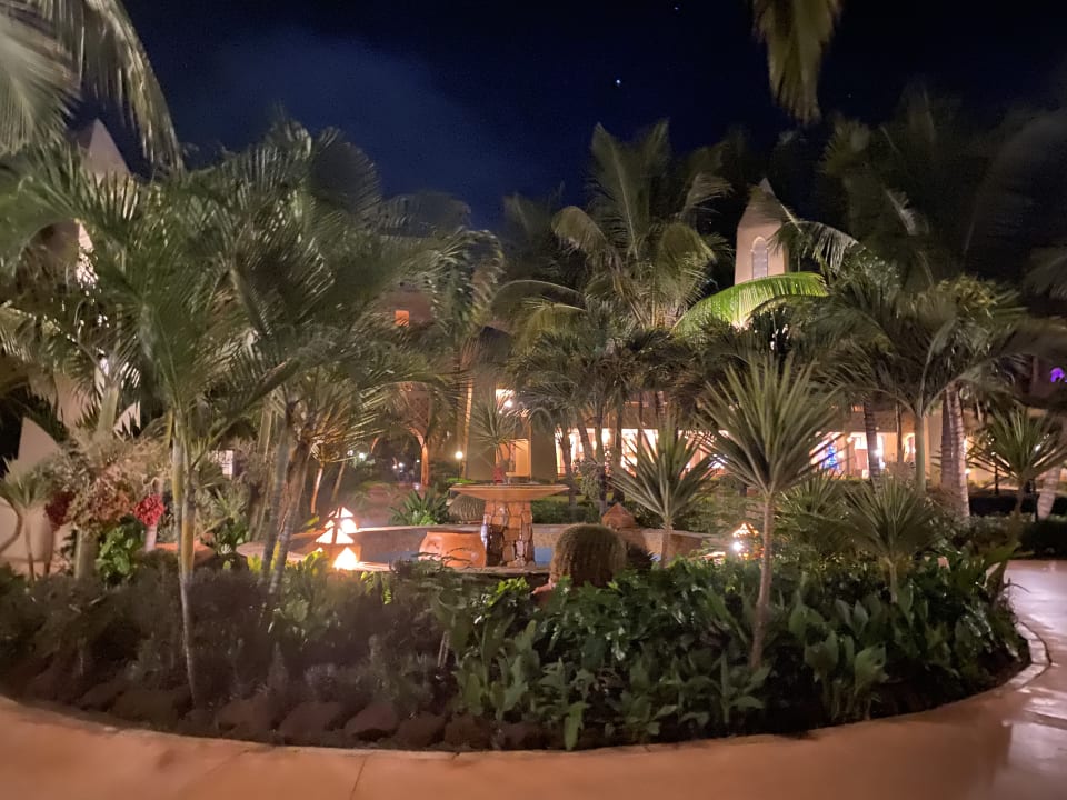 Gartenanlage Hotel Riu Touareg