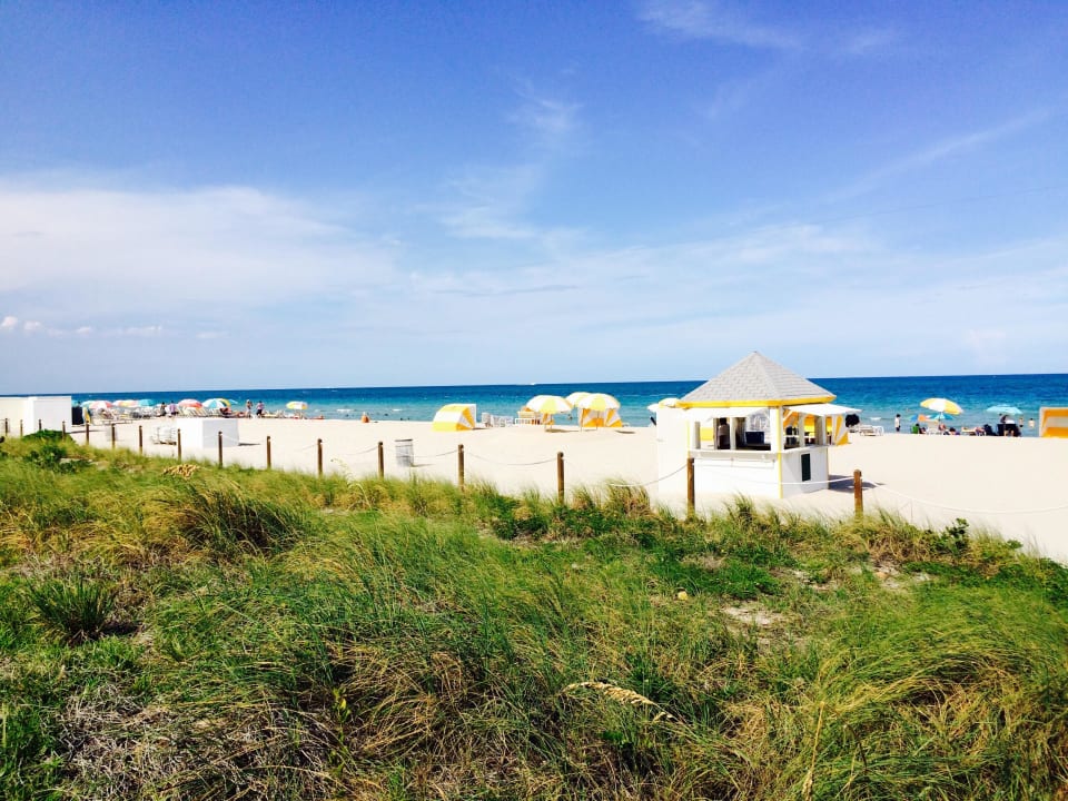 Strand Circa 39 Hotel Miami