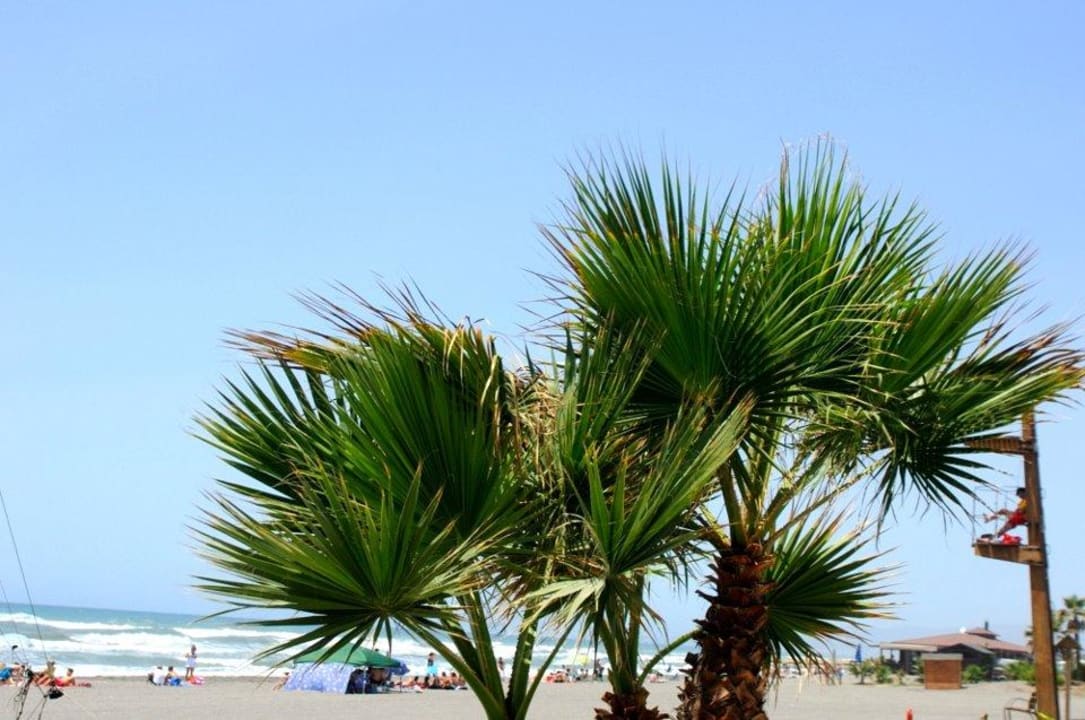 Výhlad na pláž Iberostar Waves Málaga Playa