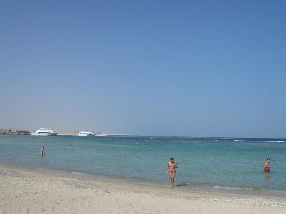 Plage et récif Pensée Royal Garden Beach Resort