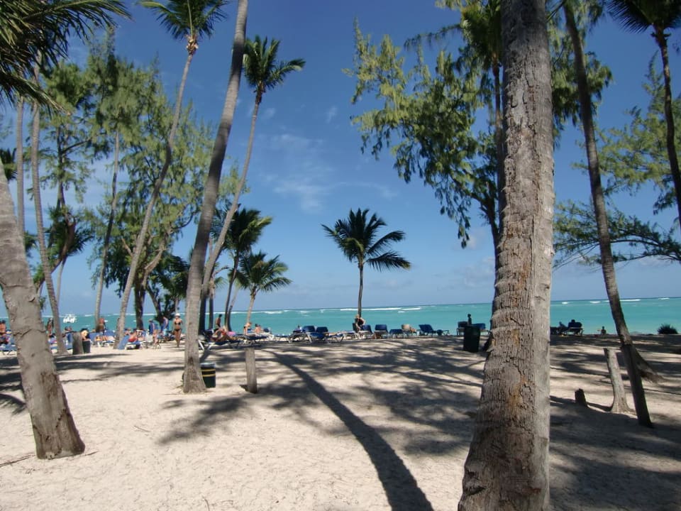 Hotelstrand Vista Sol Punta Cana