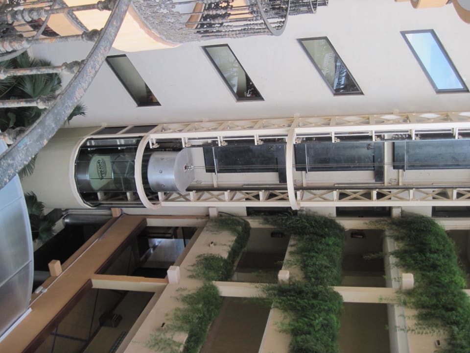 Panorama-Aufzug Bull Dorado Beach & Spa