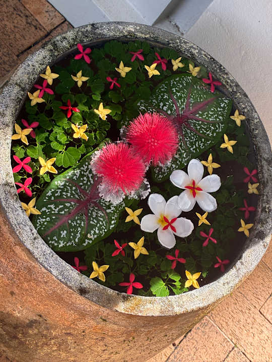 Gartenanlage Khaolak Bhandari Resort & Spa