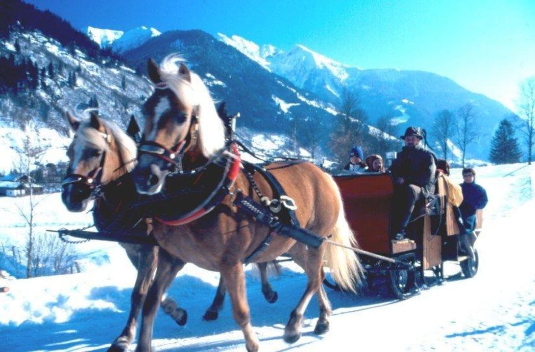 Pferdekutschenfahrten ab Haus Gasthof Walcher