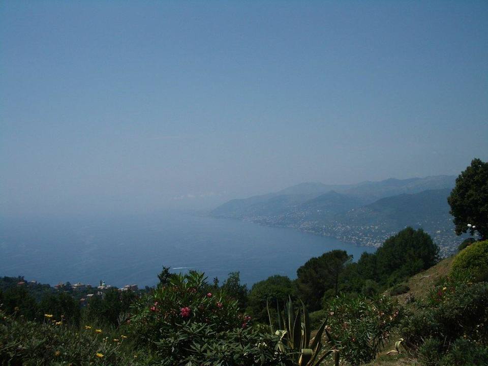 Blick aus dem Zimmer Hotel Portofino Kulm
