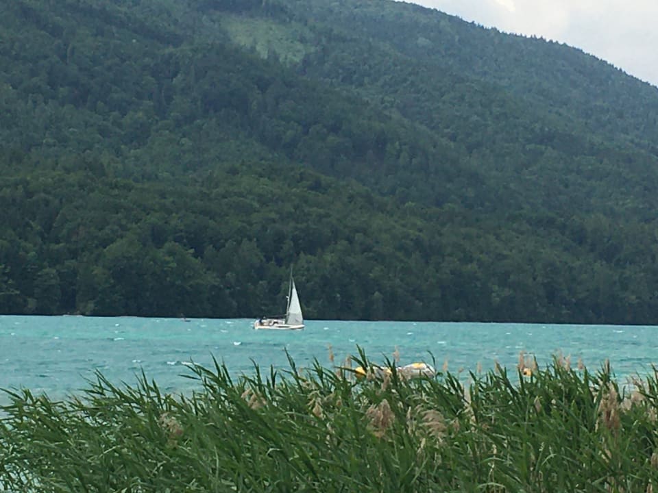 Ausblick Hotel Seewinkel