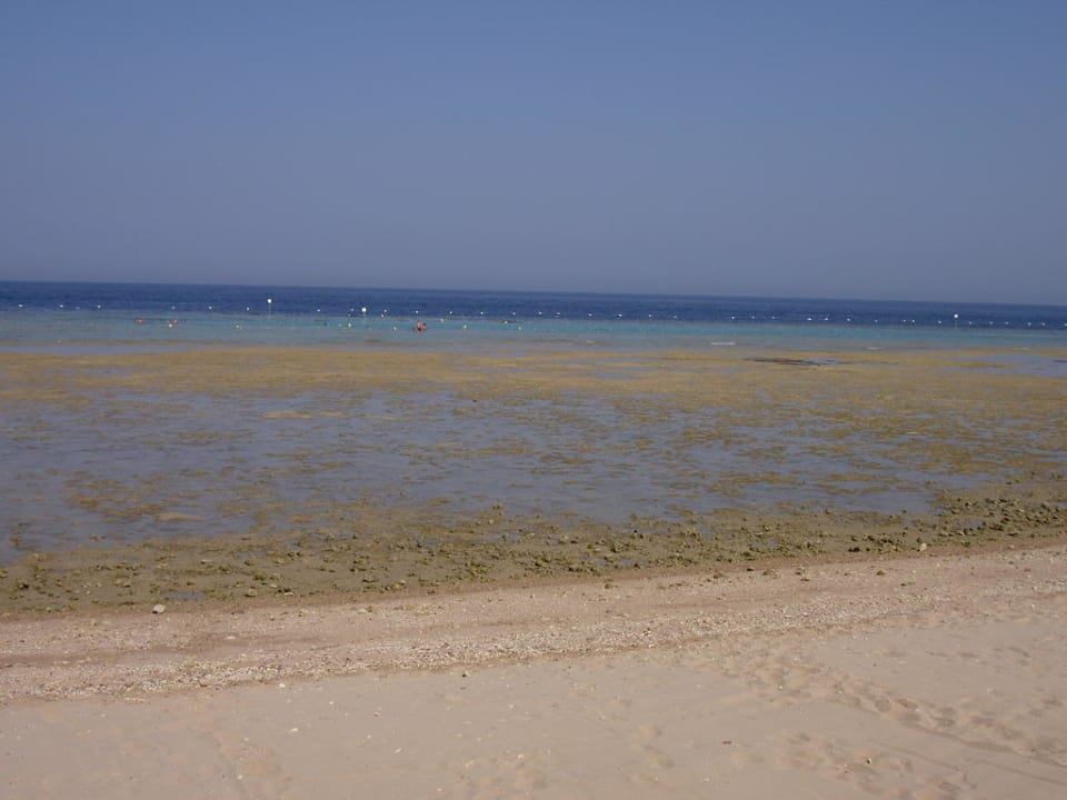 Sogenannter Strand/Riff Makadi Palace