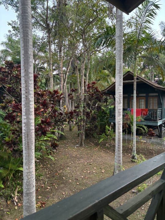 Ausblick Sunset at the Palms Resort - Adults Only