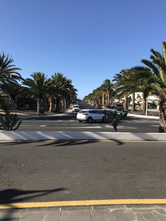 Ausblick allsun App.-Hotel Albatros