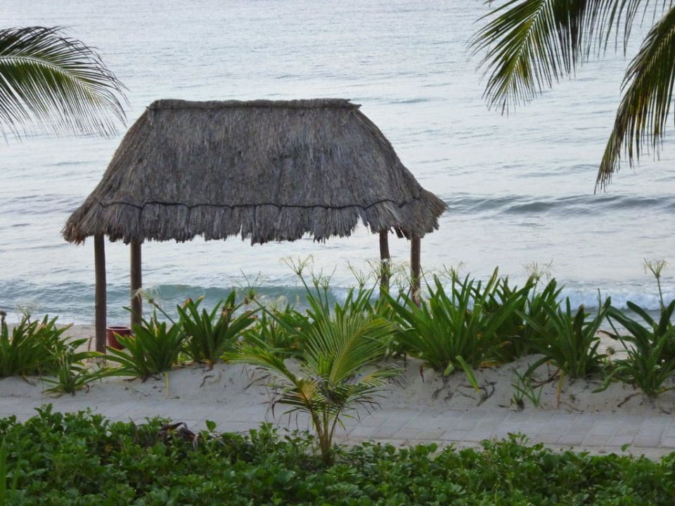 Chemin menant à la plage Akumal Bay Beach & Wellness Resort