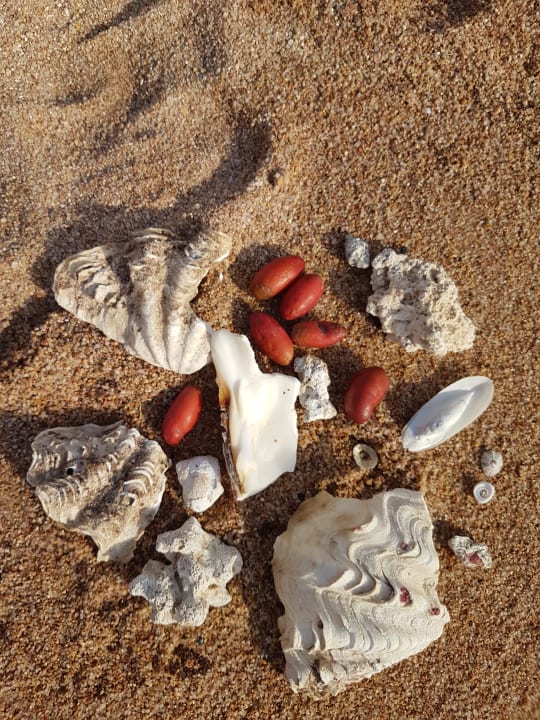 Strand Pickalbatros Citadel Resort