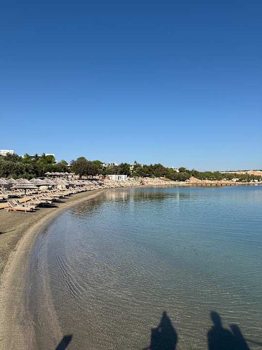 Strand Anda Barut Collection