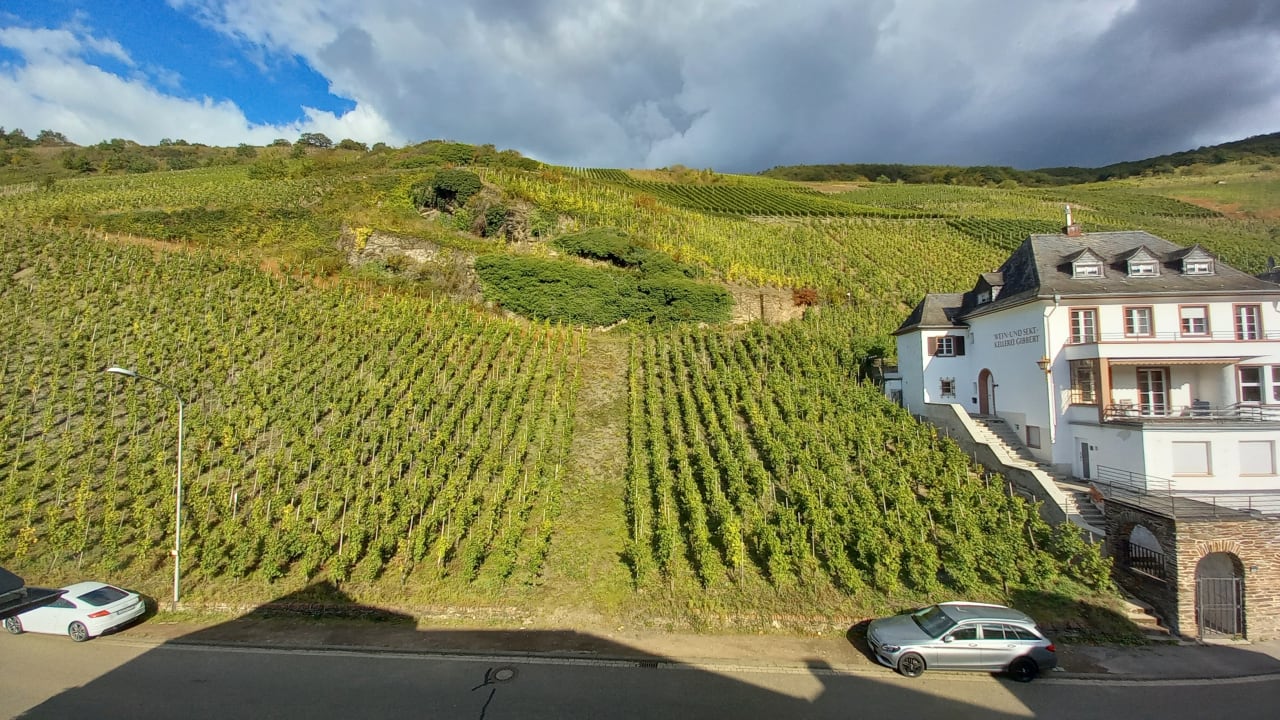 Ausblick Hotel Café im Hamm